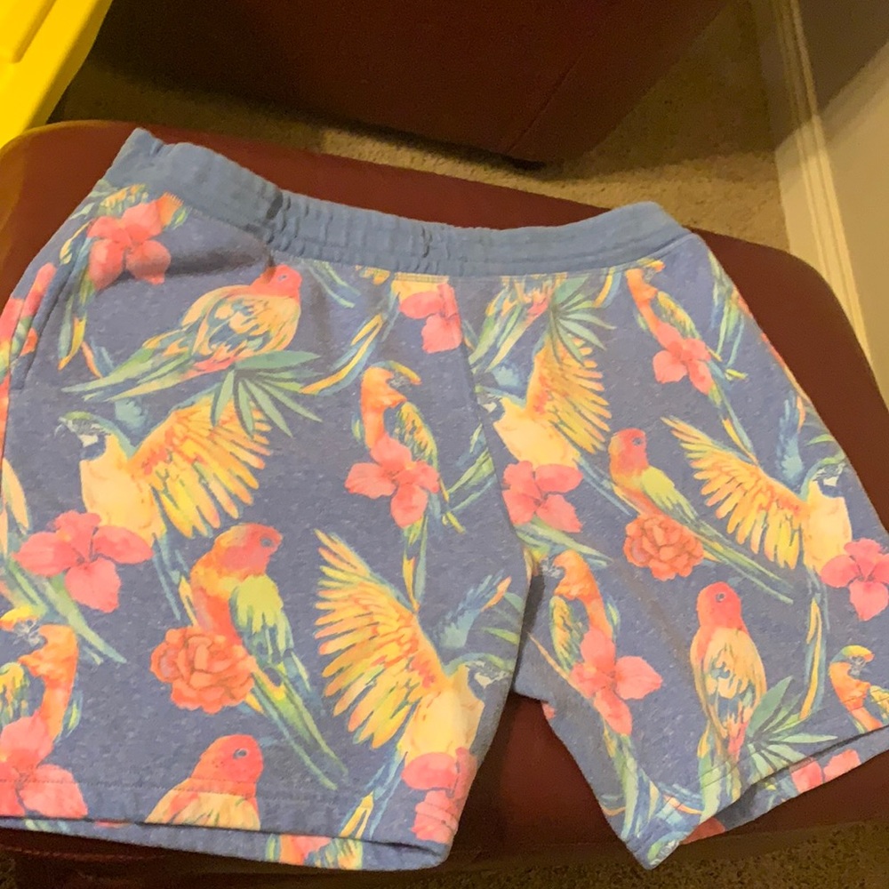XXL Chubbies Toucan Sweatshorts